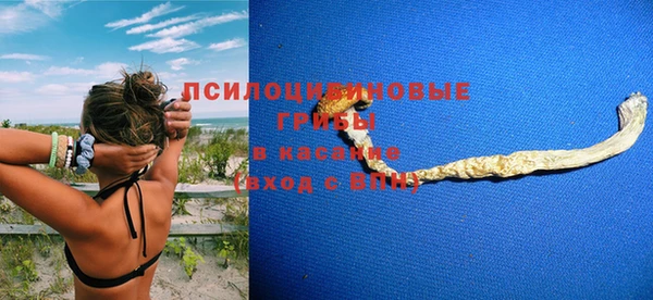 трава Баксан