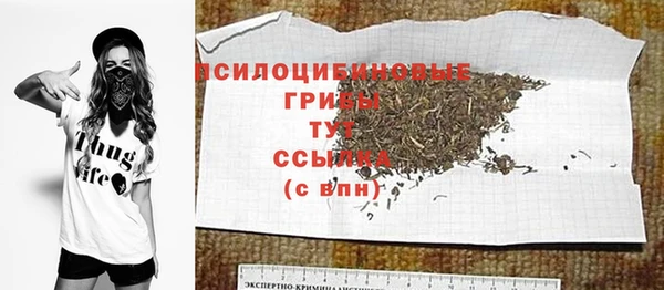 соль ск Балахна